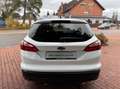 Ford Focus Turnier Sync Edition|PDC|Shzg|EU5! Blanc - thumbnail 5