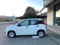 Fiat Panda 1.3 MJT 80cv Van AUTOCARRO N1 4 POSTI Euro6 Bianco - thumbnail 8