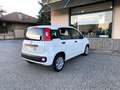 Fiat Panda 1.3 MJT 80cv Van AUTOCARRO N1 4 POSTI Euro6 Bianco - thumbnail 6