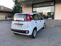 Fiat Panda 1.3 MJT 80cv Van AUTOCARRO N1 4 POSTI Euro6 Bianco - thumbnail 10