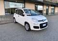 Fiat Panda 1.3 MJT 80cv Van AUTOCARRO N1 4 POSTI Euro6 Bianco - thumbnail 11
