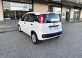 Fiat Panda 1.3 MJT 80cv Van AUTOCARRO N1 4 POSTI Euro6 Bianco - thumbnail 7