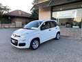 Fiat Panda 1.3 MJT 80cv Van AUTOCARRO N1 4 POSTI Euro6 Bianco - thumbnail 4