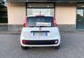 Fiat Panda 1.3 MJT 80cv Van AUTOCARRO N1 4 POSTI Euro6 Bianco - thumbnail 5