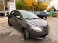 Lancia Ypsilon Ypsilon Platino 2015  1.3 mjt , NEOPATENTATI! Gris - thumbnail 7