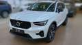 Volvo XC40 B4 B Pl. Dark ACC PANO BLIS PIXEL NAVI 360° Weiß - thumbnail 1