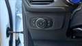 Ford Focus Active 1.0 ecoboost hybrid 125cv Blanc - thumbnail 14