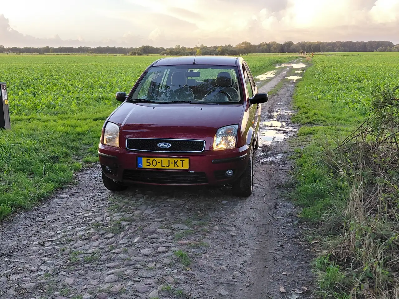Ford Fusion