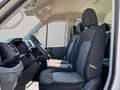 Volkswagen Crafter 2.0TDI 140CV DOPPIA CABINA L3 Білий - thumbnail 7