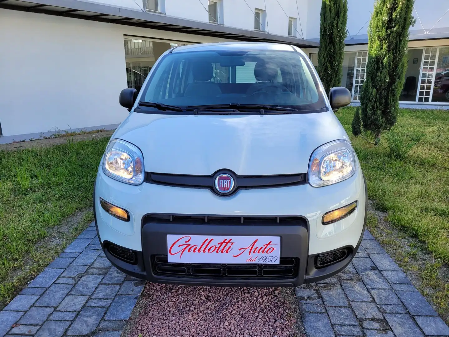 Fiat Panda FireFly S&S Hybrid-PROMO GALLOTTI Ø PENSIERI Bianco - 2