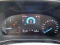 Ford Focus 1.5 EcoBlue 120 CV 5p. ST Line Blu/Azzurro - thumbnail 11