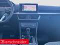 SEAT Tarraco 2.0 TSI DSG 4Dr Xperience AB 359EUR AHK PANO KAMER Blanco - thumbnail 20