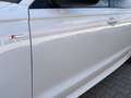 Audi A6 2.0 TDI DSG S-Tronic  S-Line GEWERBE / EXPORT White - thumbnail 11