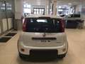 Fiat Panda 1.0 Hybrid 70 cv Pan Blanc - thumbnail 7