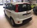 Fiat Panda 1.0 Hybrid 70 cv Pan Blanc - thumbnail 6