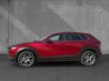 Mazda CX-30 2.5 AT Center-Line Lenkradheizung Navi Rouge - thumbnail 2