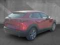 Mazda CX-30 2.5 AT Center-Line Lenkradheizung Navi Rouge - thumbnail 3