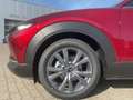 Mazda CX-30 2.5 AT Center-Line Lenkradheizung Navi Rouge - thumbnail 6