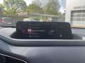 Mazda CX-30 2.5 AT Center-Line Lenkradheizung Navi Rouge - thumbnail 12