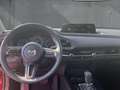 Mazda CX-30 2.5 AT Center-Line Lenkradheizung Navi Rouge - thumbnail 8