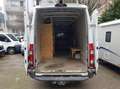 Iveco DAILY 35S15 2,3 145PS MAXI LUFTFEDER. SEHR GUTE Z. Weiß - thumbnail 18