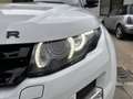 Land Rover Range Rover Evoque SD4 Prestige - thumbnail 10