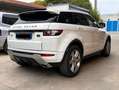 Land Rover Range Rover Evoque SD4 Prestige - thumbnail 4