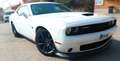 Dodge Challenger R/T Scat Pack 6.4 HEMI V8 - thumbnail 1