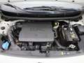 Kia Picanto 1.0 CVVT EconomyPlusLine | Airconditioning | Autom Wit - thumbnail 28