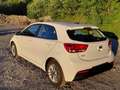 Kia Rio Rio 1,25 MPI Silber ISG Silber Weiß - thumbnail 4