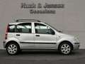 Fiat Panda 1.2 Emotion Panodak airco Onderhouden Grau - thumbnail 5