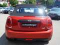 MINI One Cabrio * LED * Durchlade * 1.Hd * REIFEN NEU Rouge - thumbnail 13