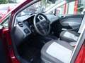 SEAT Ibiza Lim. Reference Klima*AUX*Isofix Rouge - thumbnail 6