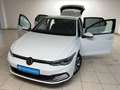 Volkswagen Golf VIII 2.0 TDI DSG Move Bluetooth Navi LED Blanco - thumbnail 14