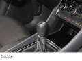 Skoda Karoq 1.5 TSI Selection Matrix LED   Kamera   Tempomat Noir - thumbnail 10