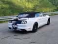 Ford Mustang Mustang Cabrio 2.3 EcoBoost Wit - thumbnail 5