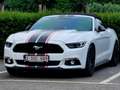 Ford Mustang Mustang Cabrio 2.3 EcoBoost Wit - thumbnail 1