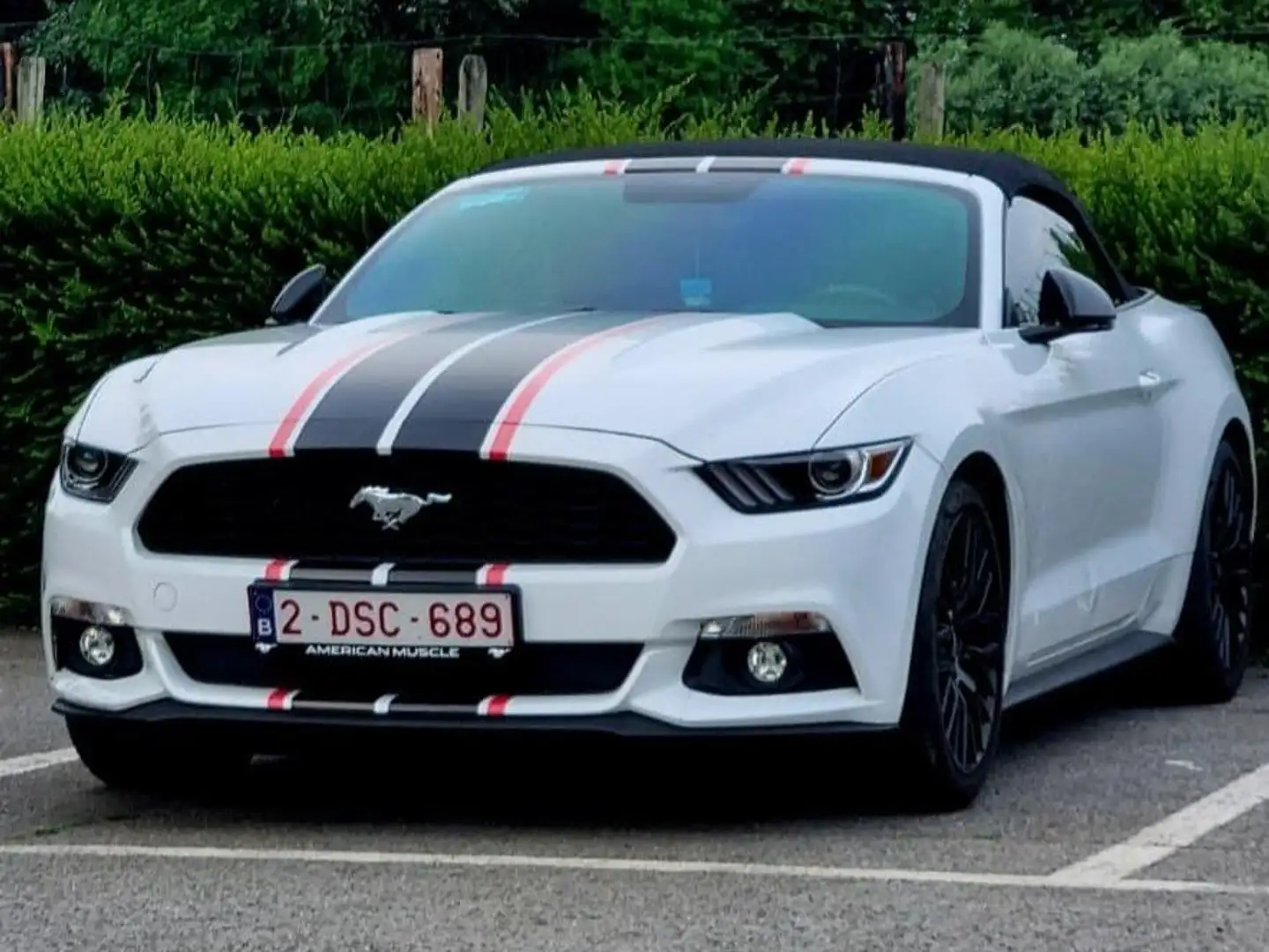 Ford Mustang Mustang Cabrio 2.3 EcoBoost Wit - 1