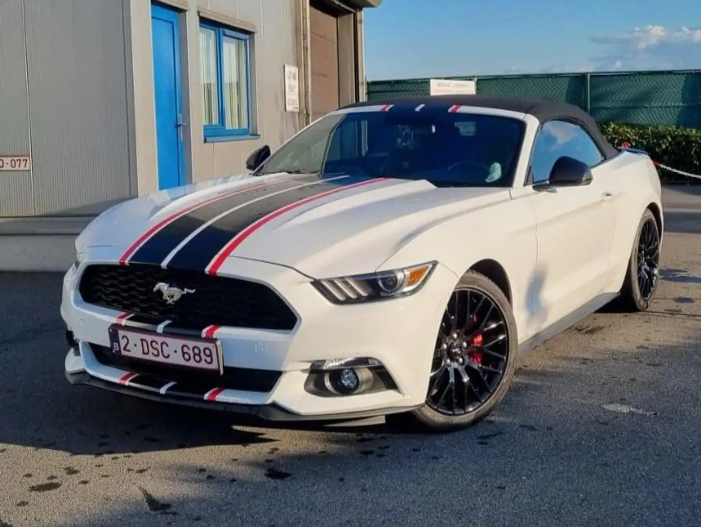 Ford Mustang Mustang Cabrio 2.3 EcoBoost Wit - 2