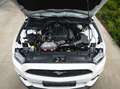 Ford Mustang Mustang Cabrio 2.3 EcoBoost Wit - thumbnail 15