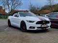 Ford Mustang Mustang Cabrio 2.3 EcoBoost Wit - thumbnail 16