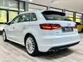 Audi A3 Sportback 2.0TDI 184cv S-Line S-Tronic Quattro 4x4 Bianco - thumbnail 7