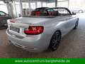 BMW 218 i Cabrio Aut. Sport Line NAVI+XENON Argent - thumbnail 9
