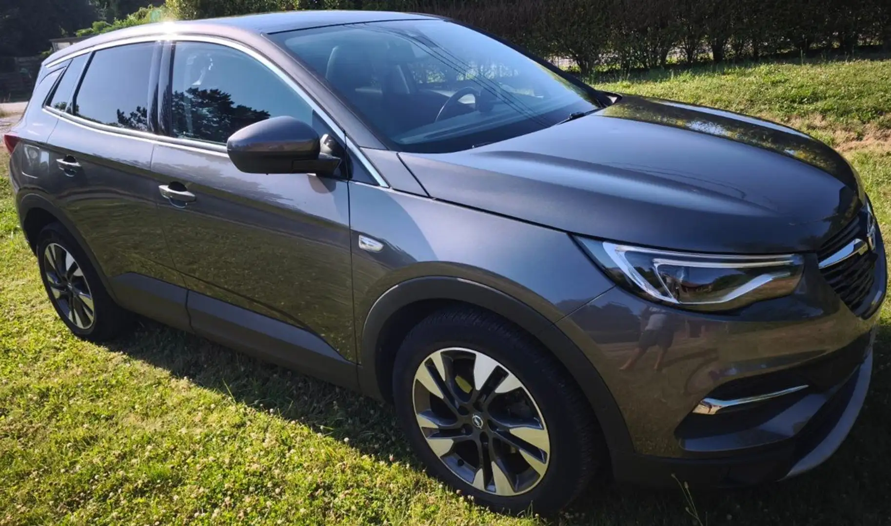 Opel Grandland X Grandland X 1.2 Turbo ECOTEC Innovation Grijs - 1