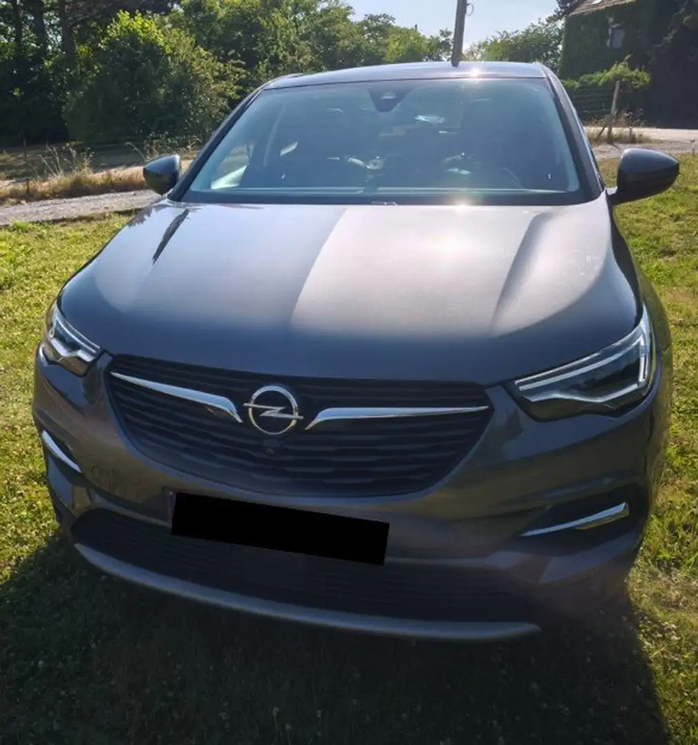 Opel Grandland X Grandland X 1.2 Turbo ECOTEC Innovation Grijs - 2