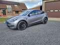 Tesla Model Y Model Y Performance Dual Motor AWD Argent - thumbnail 17