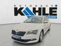 Skoda Superb 1.4 TSI Ambition RFK Sitzh Klimaaut. PDC Weiß - thumbnail 2