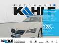 Skoda Superb 1.4 TSI Ambition RFK Sitzh Klimaaut. PDC Weiß - thumbnail 1