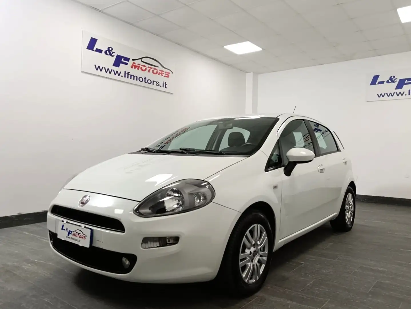 Fiat Punto Punto 5p 1.3 mjt II 16v Lounge eco s Bianco - 2