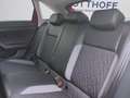 Volkswagen Taigo 1.0 TSI GOAL KLIMA PDC LED SHZG LM16 Rot - thumbnail 17